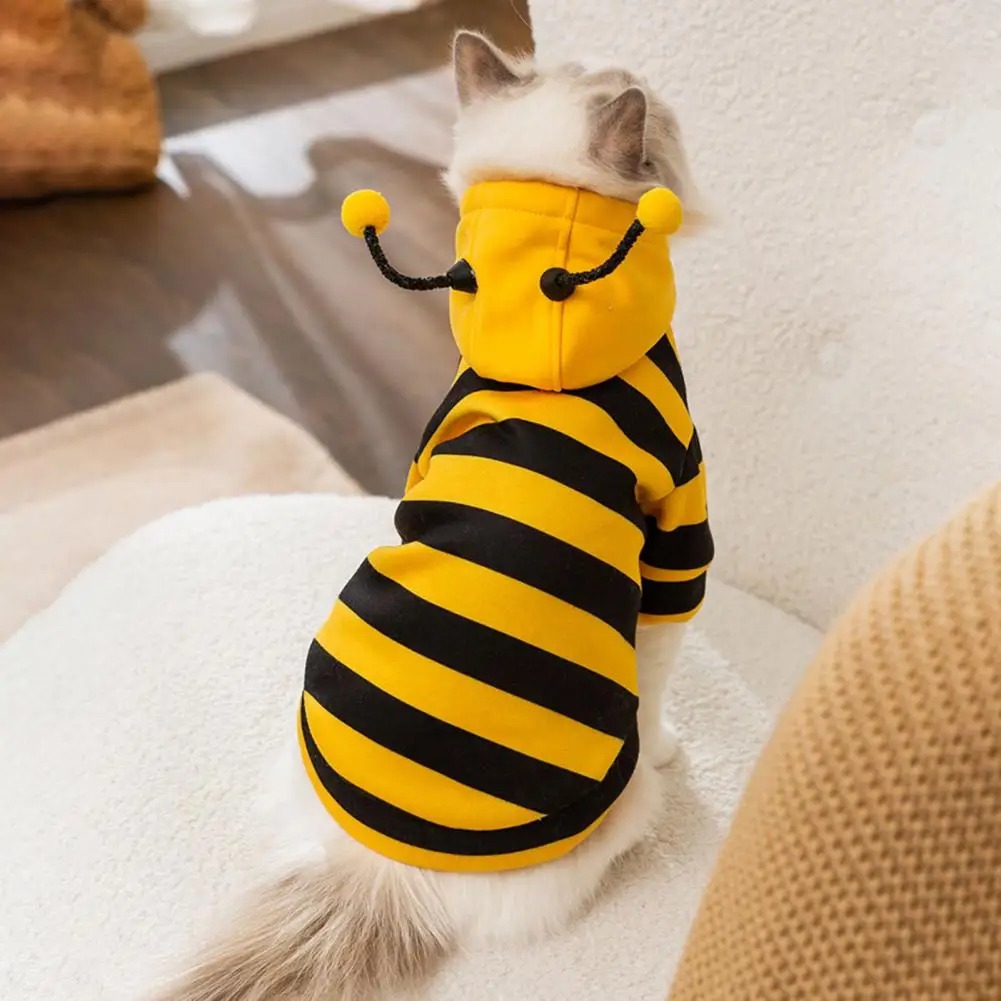 Winter Clothing For Dogs - Ubranka dla kotów, akcesoria dla kociąt,