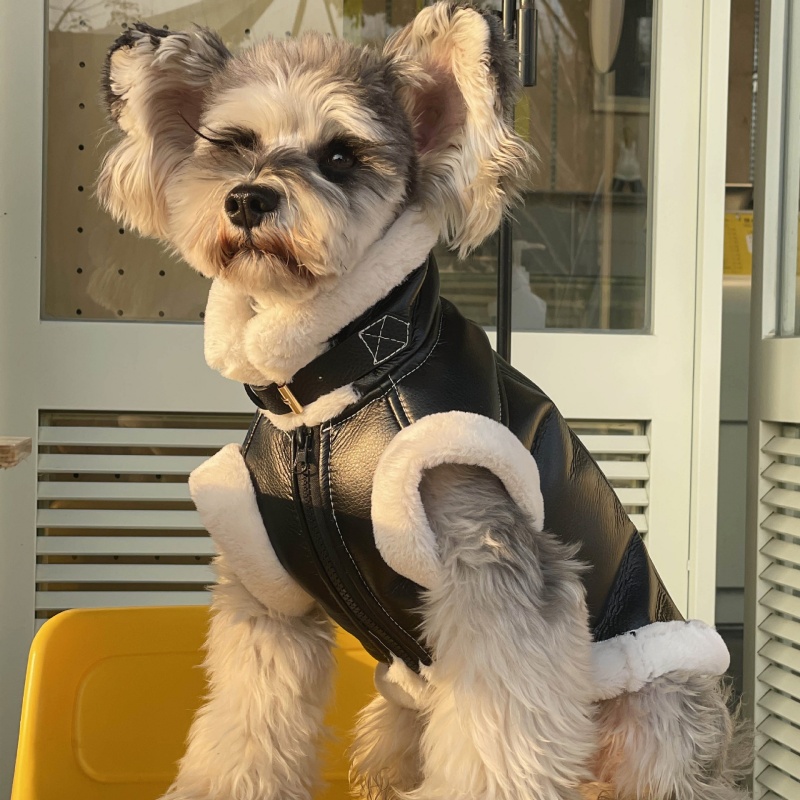 Winter Clothing For Dogs - Pet jesienno-zimowa aksamitna kamizelka bez rękawów
