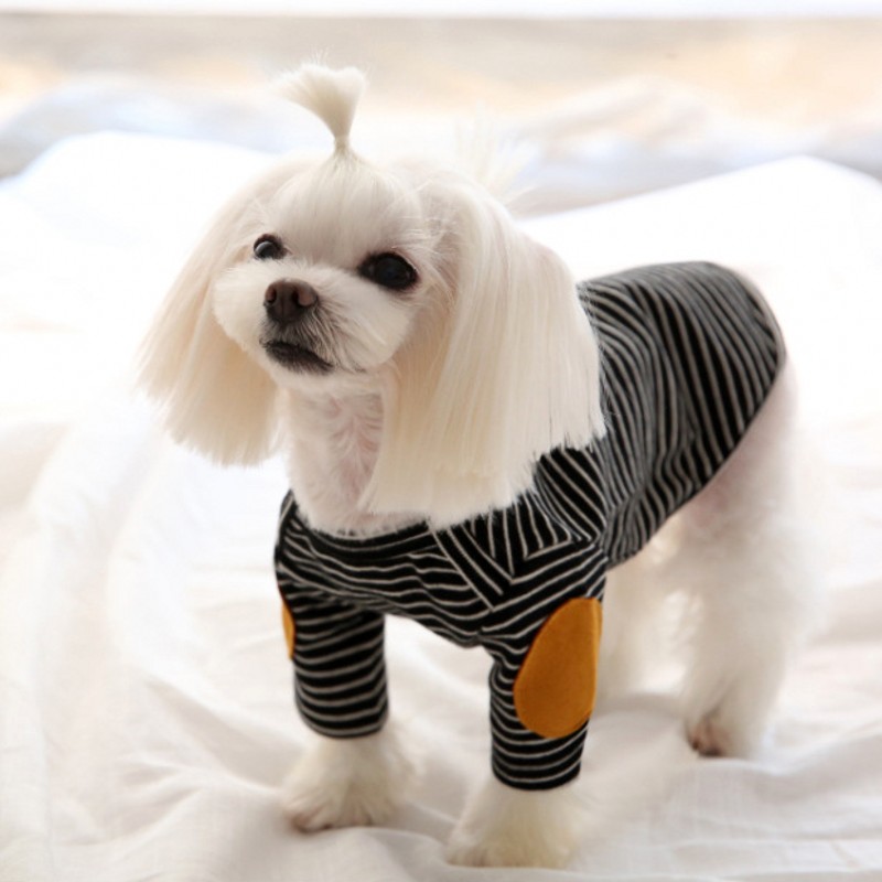 Cienkie bluzy dla psów, polaro – Winter Clothing For Dogs recenzja i cena