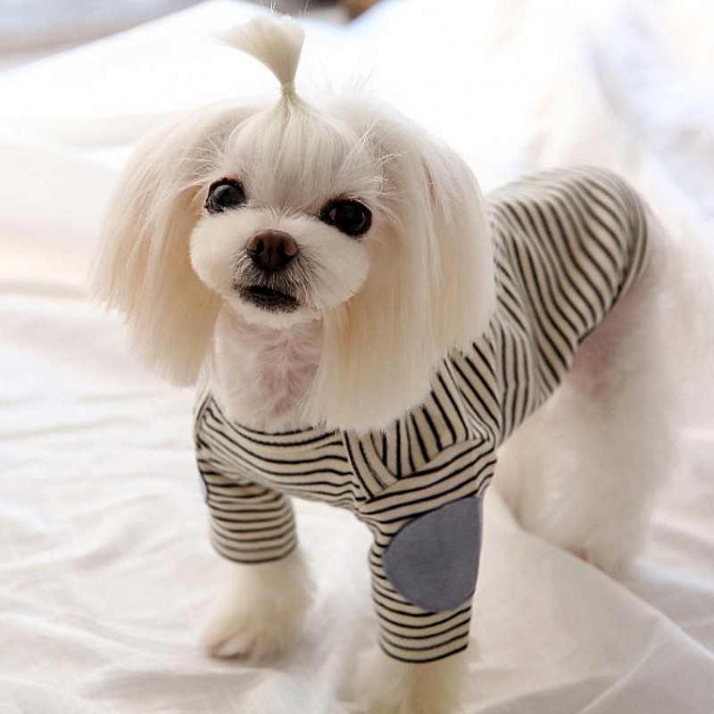 Cienkie bluzy dla psów, polaro – Winter Clothing For Dogs recenzja i cena