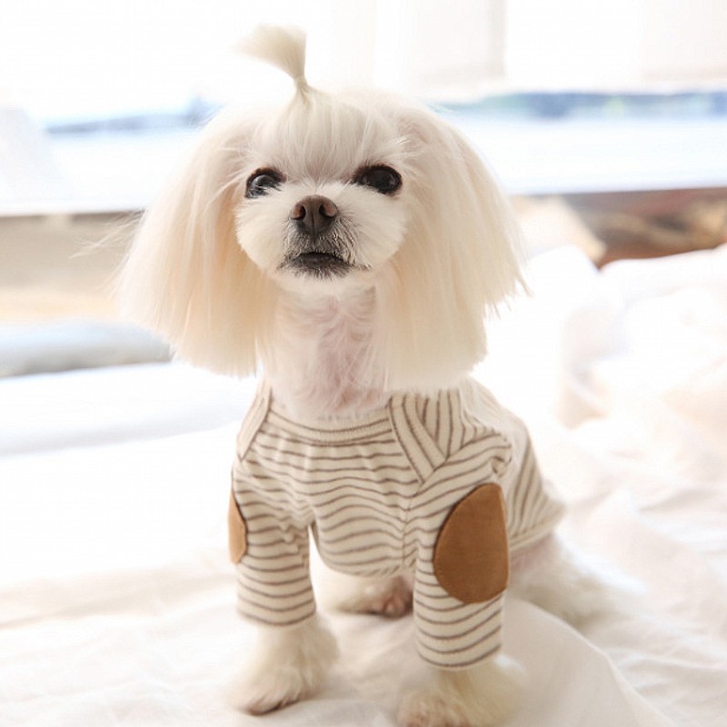 Cienkie bluzy dla psów, polaro – Winter Clothing For Dogs recenzja i cena