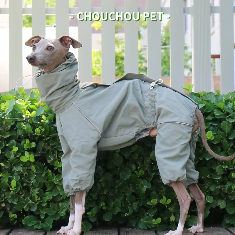 Płaszcz przeciwdeszczowy dla c – Winter Clothing For Dogs recenzja i cena