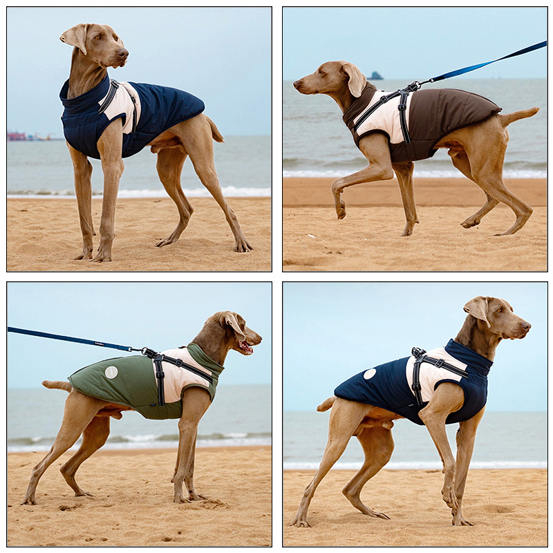 Ciepła kamizelka dla psa z wbu – Winter Clothing For Dogs recenzja i cena