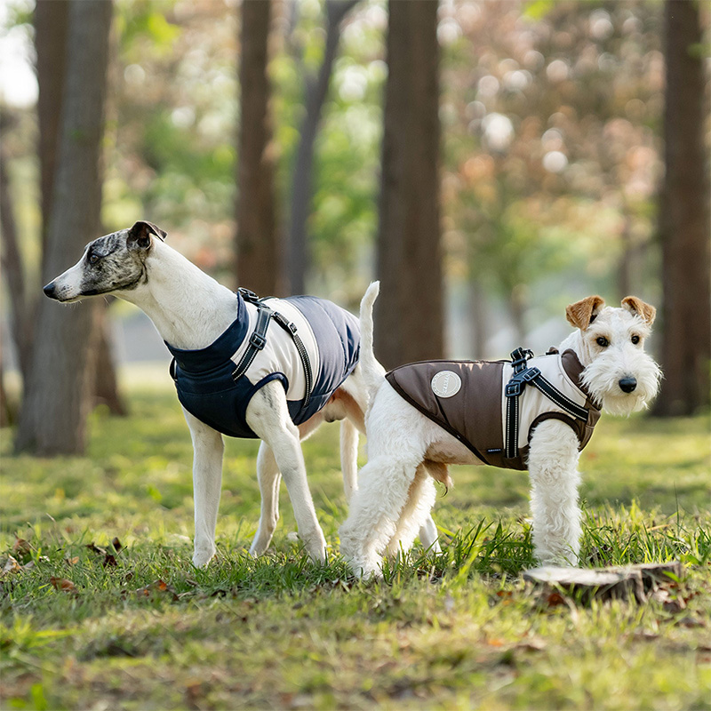 Ciepła kamizelka dla psa z wbu – Winter Clothing For Dogs recenzja i cena