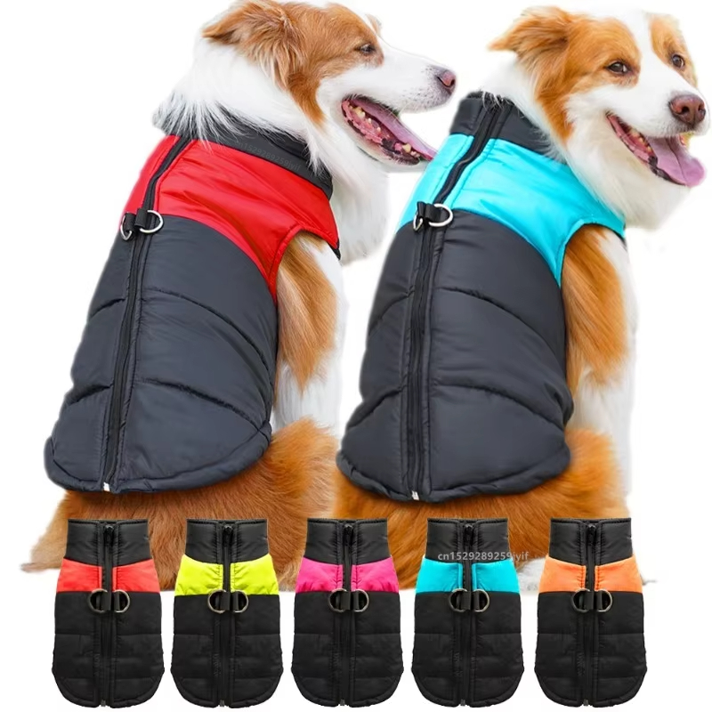 Ubrania dla psów na jesień i z – Winter Clothing For Dogs recenzja i cena