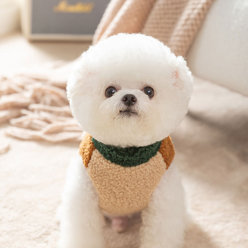 Brązowy kurtka dla zwierząt je – Winter Clothing For Dogs recenzja i cena