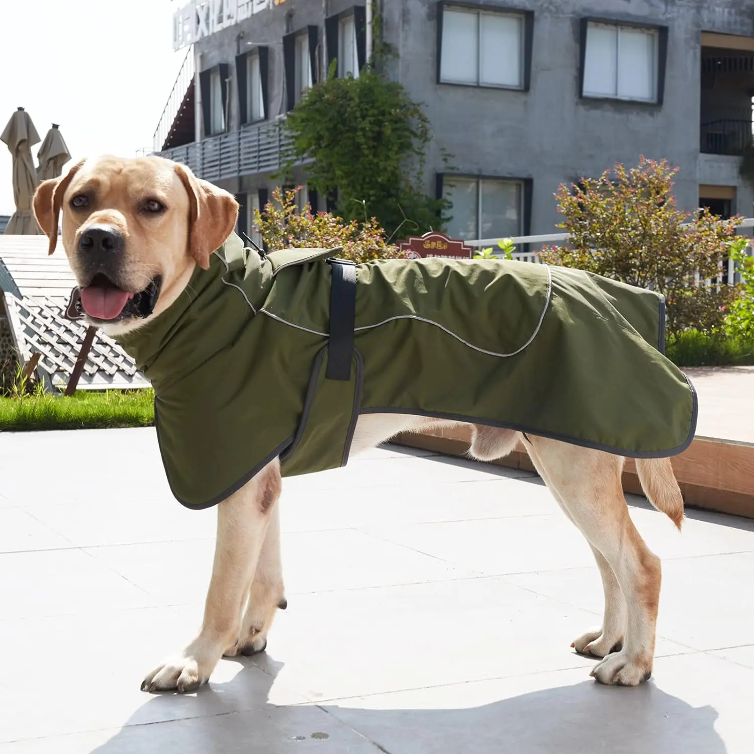 Zimowe ubrania dla psów wiatro – Winter Clothing For Dogs recenzja i cena