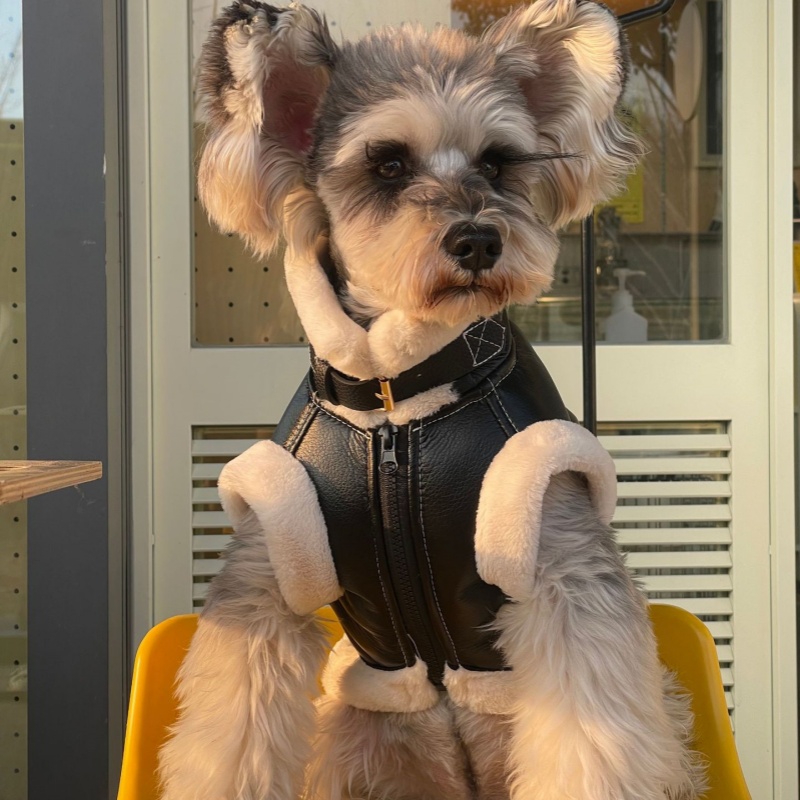 Pet jesienno-zimowa aksamitna  – Winter Clothing For Dogs recenzja i cena