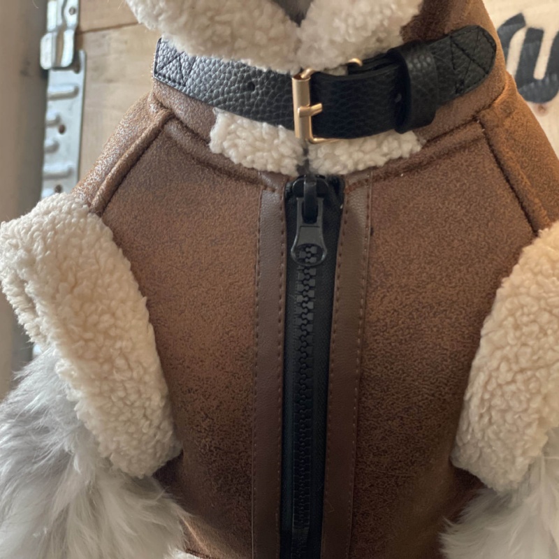 Pet jesienno-zimowa aksamitna  – Winter Clothing For Dogs recenzja i cena
