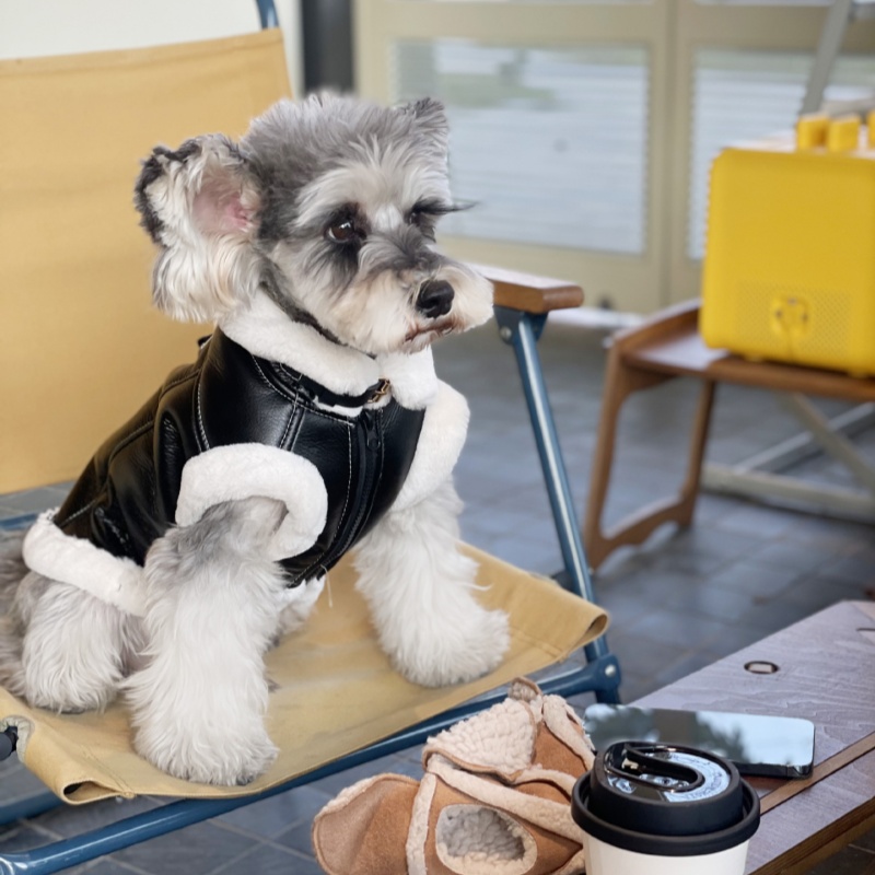Pet jesienno-zimowa aksamitna  – Winter Clothing For Dogs recenzja i cena