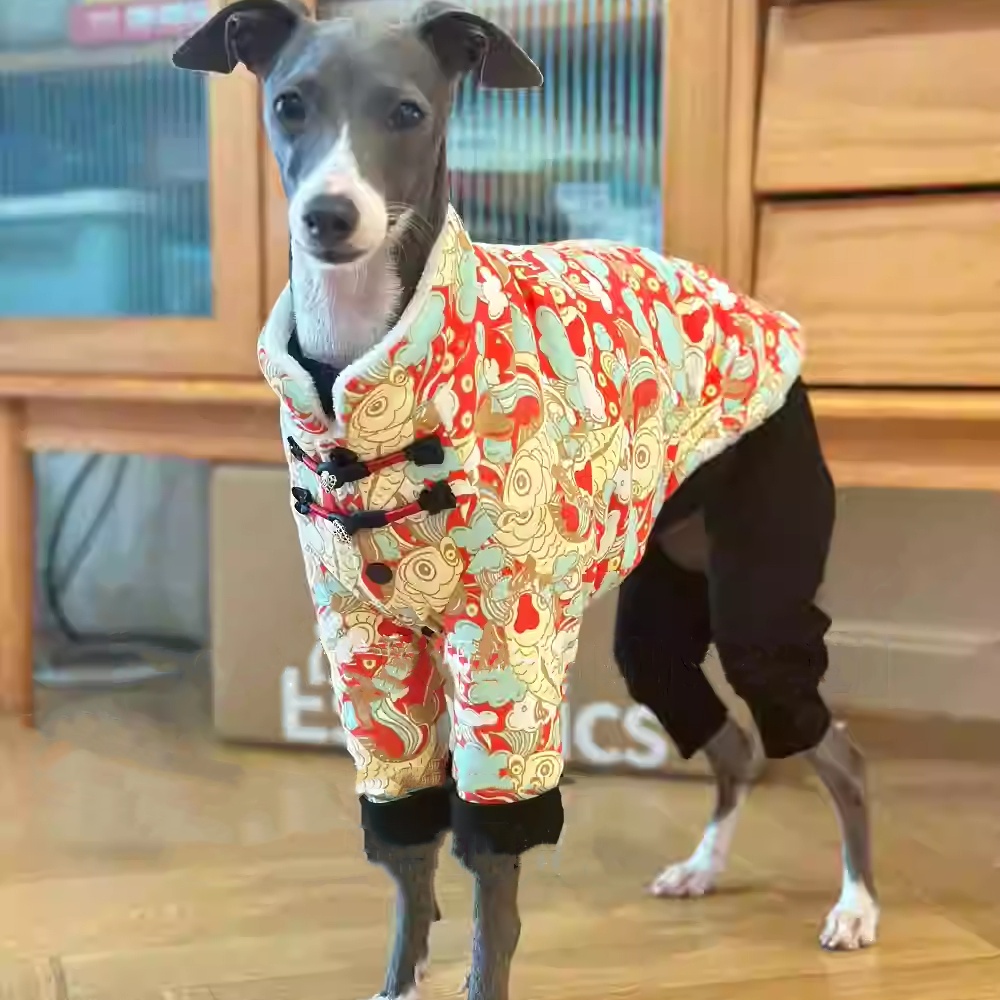 Chińska kurtka polarowa z klam – Winter Clothing For Dogs recenzja i cena