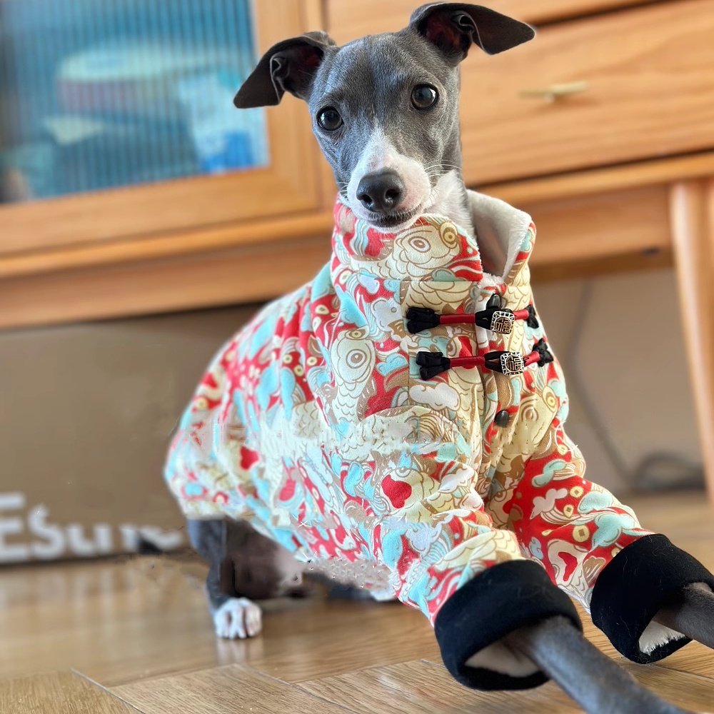 Chińska kurtka polarowa z klam – Winter Clothing For Dogs recenzja i cena